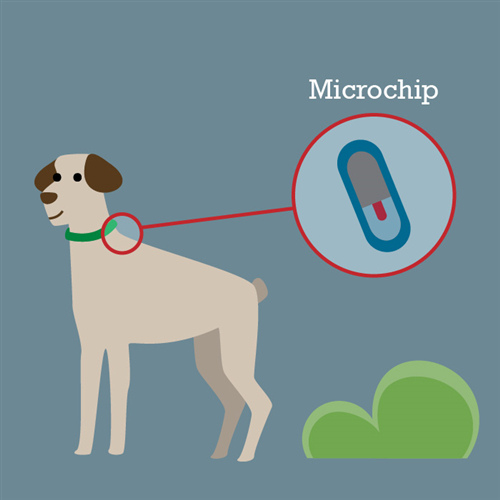 Manifestazione di interesse alla "microchippatura" gratuita degli animali domestici.